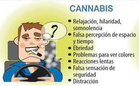 Efectos del Cannabis en la Conducción