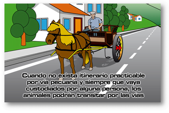 conducción de animales