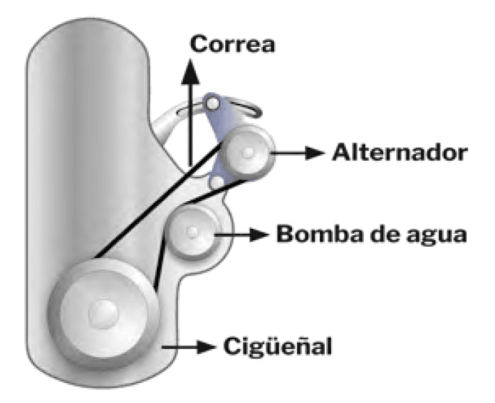 correa del alternador