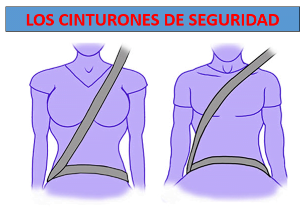 posición del cinturón de seguridad