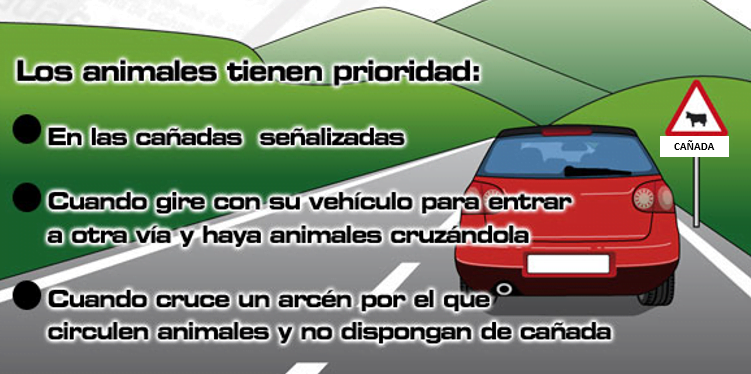 preferencias de los animles
