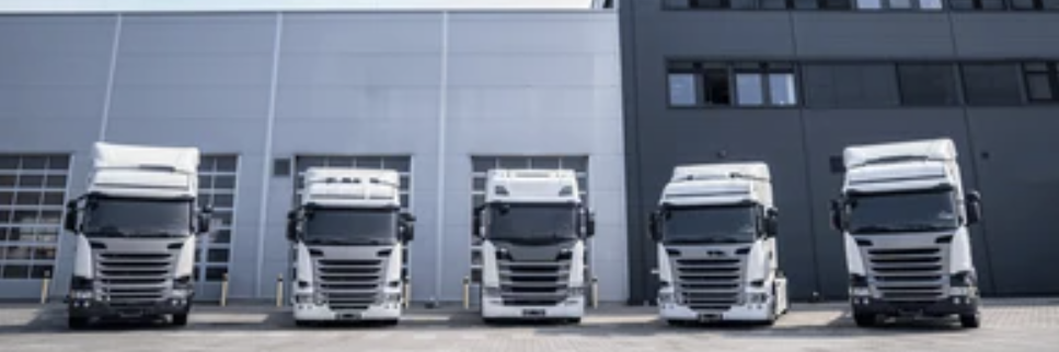 establecimiento empresa de transporte terrestre