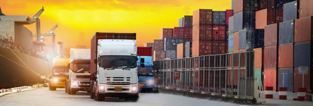 operador de Transporte Terrestre