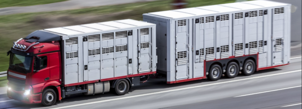 documentación transporte de animales vivos