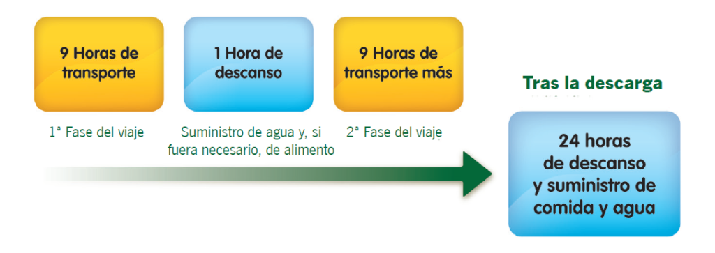 terneros, corderos, cabritos, lechones y potros