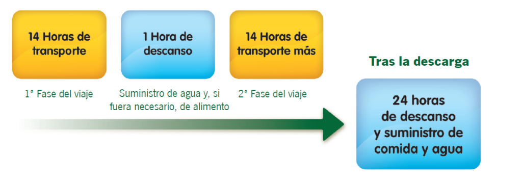 Bovinos, ovinos y caprinos