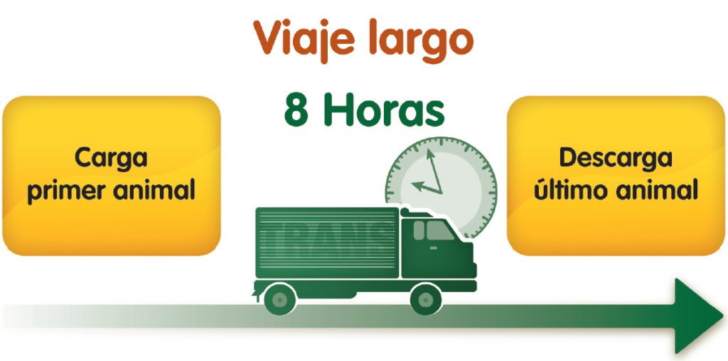 transporte de animales vivos